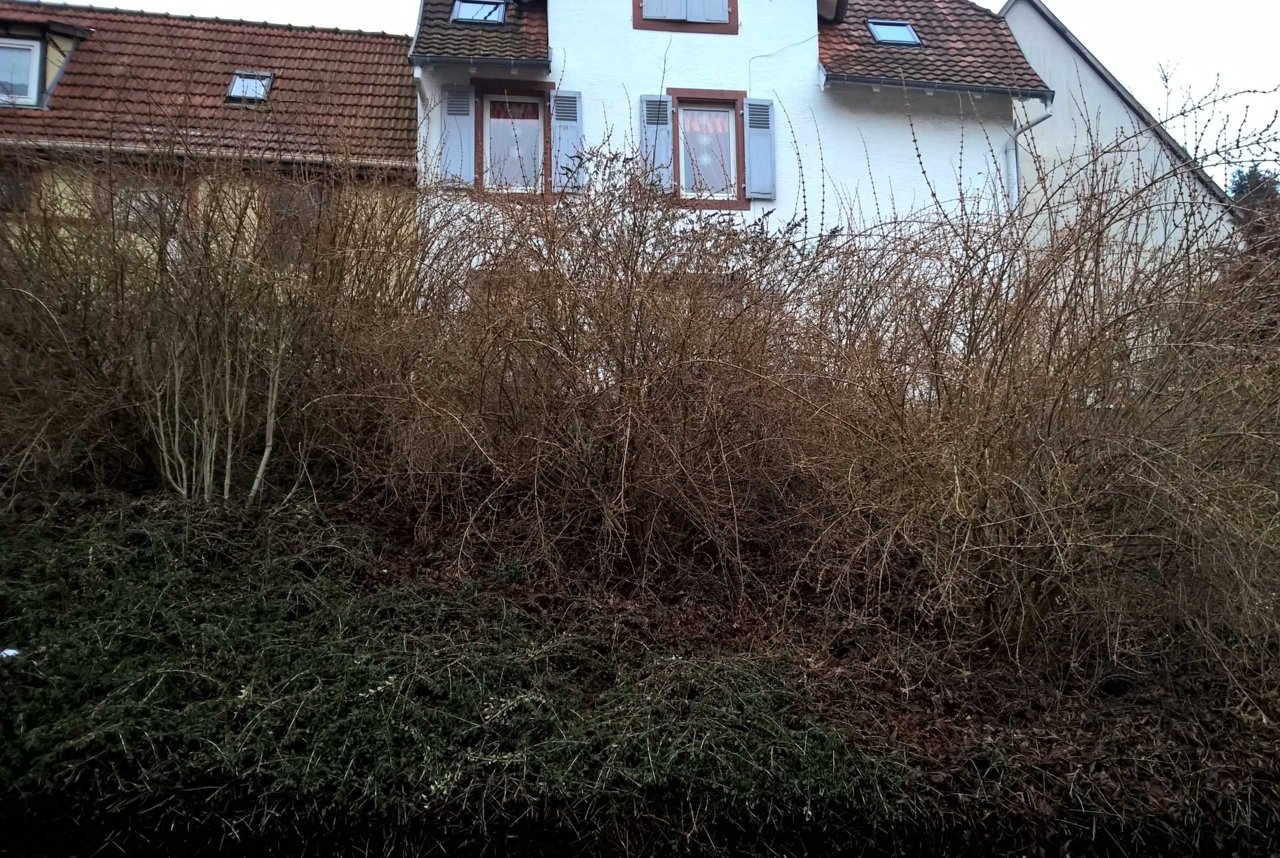 WP_20150128_08_46_55_Pro_optimized
