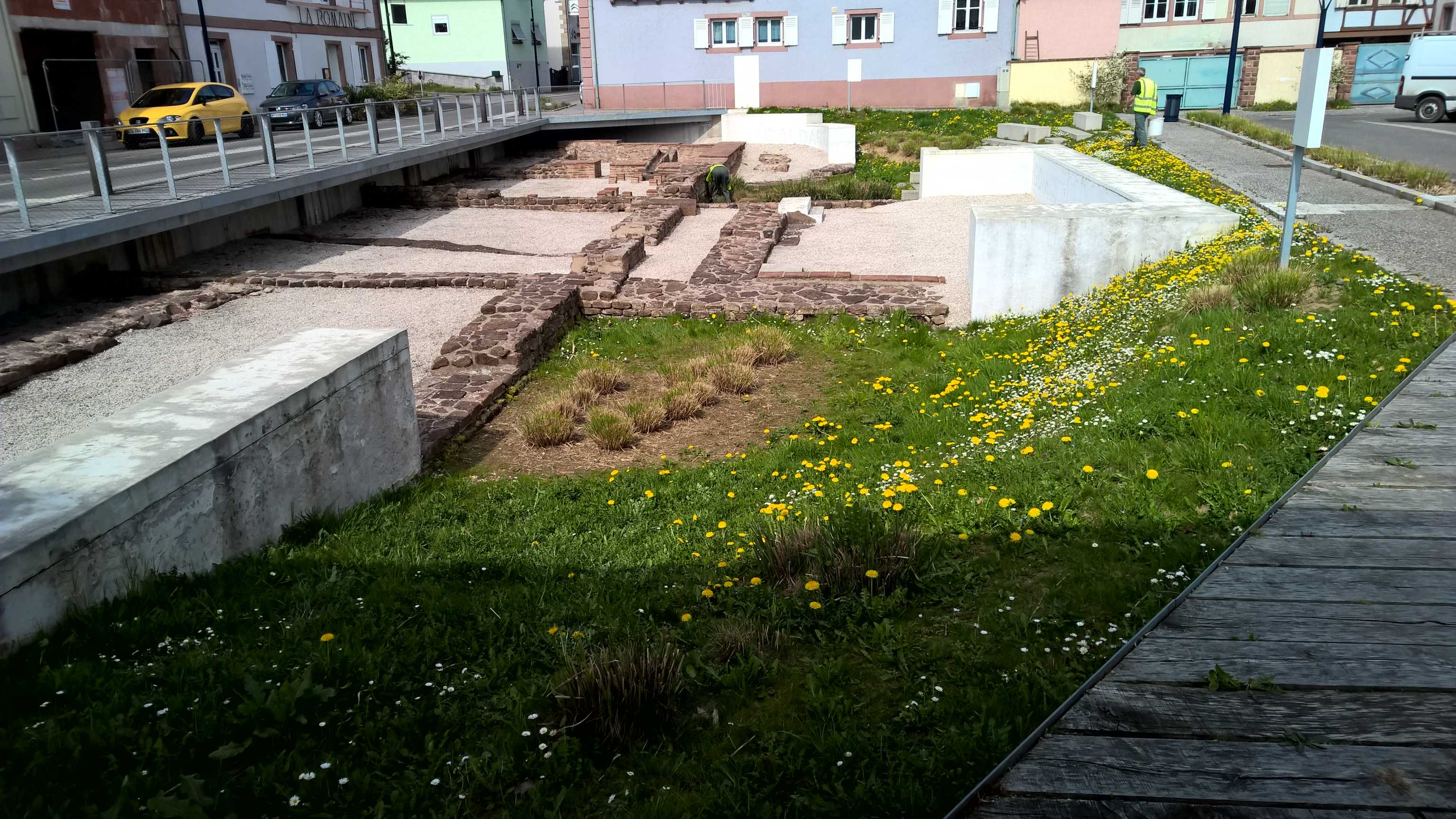 WP_20150416_11_37_04_Pro_optimized