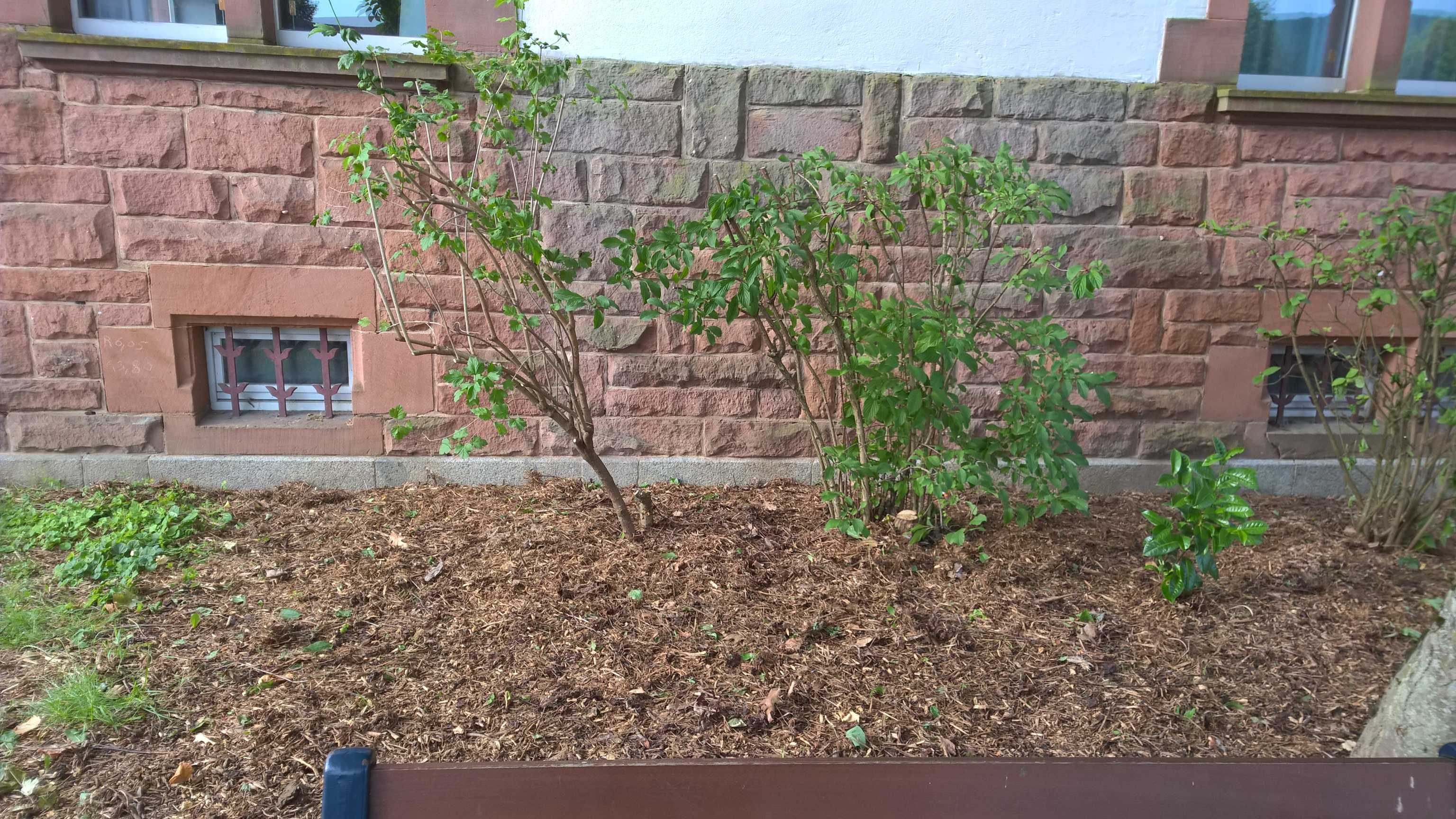 WP_20150616_08_00_00_Pro_optimized