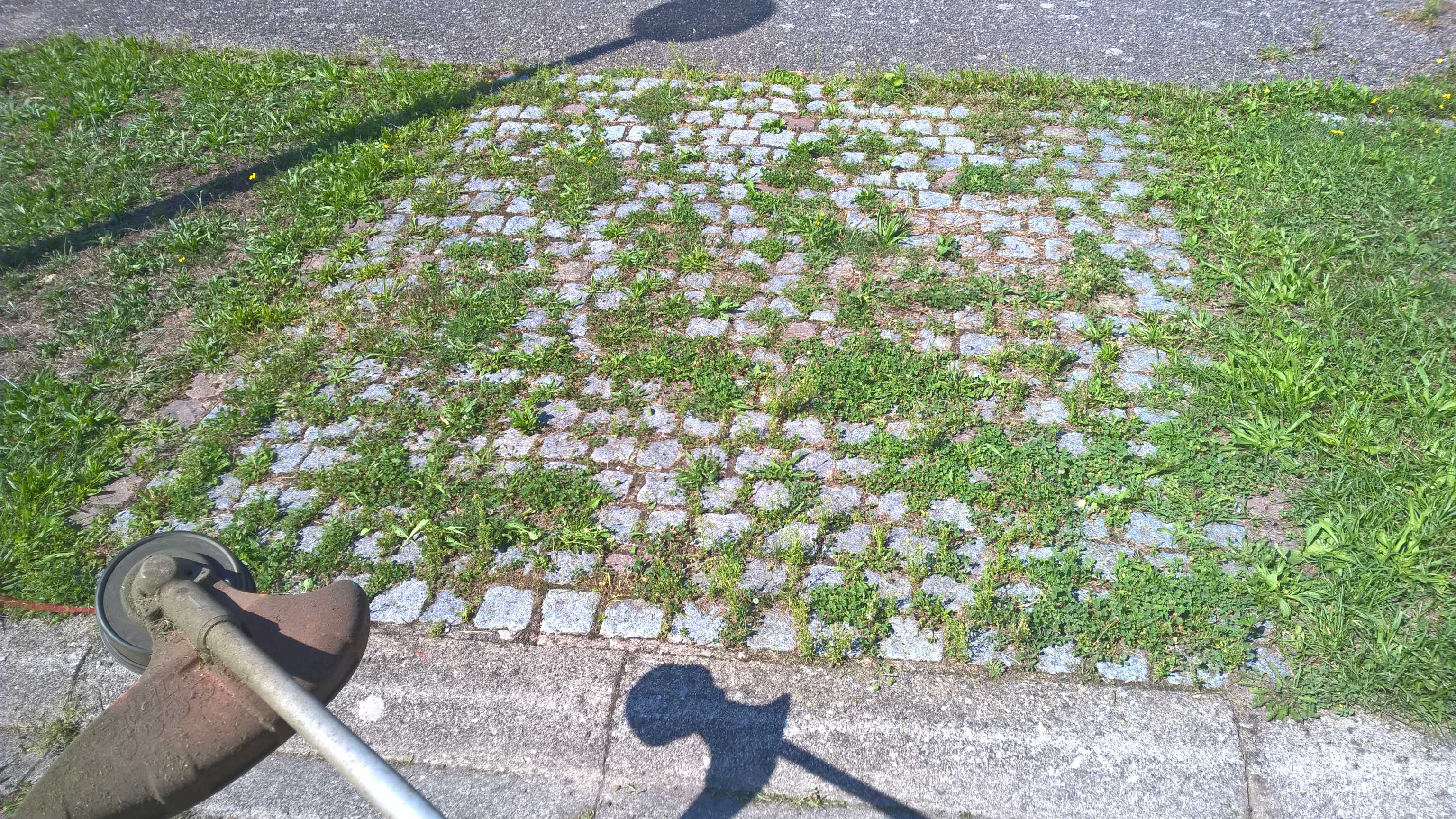 WP_20150831_13_52_32_Pro_optimized