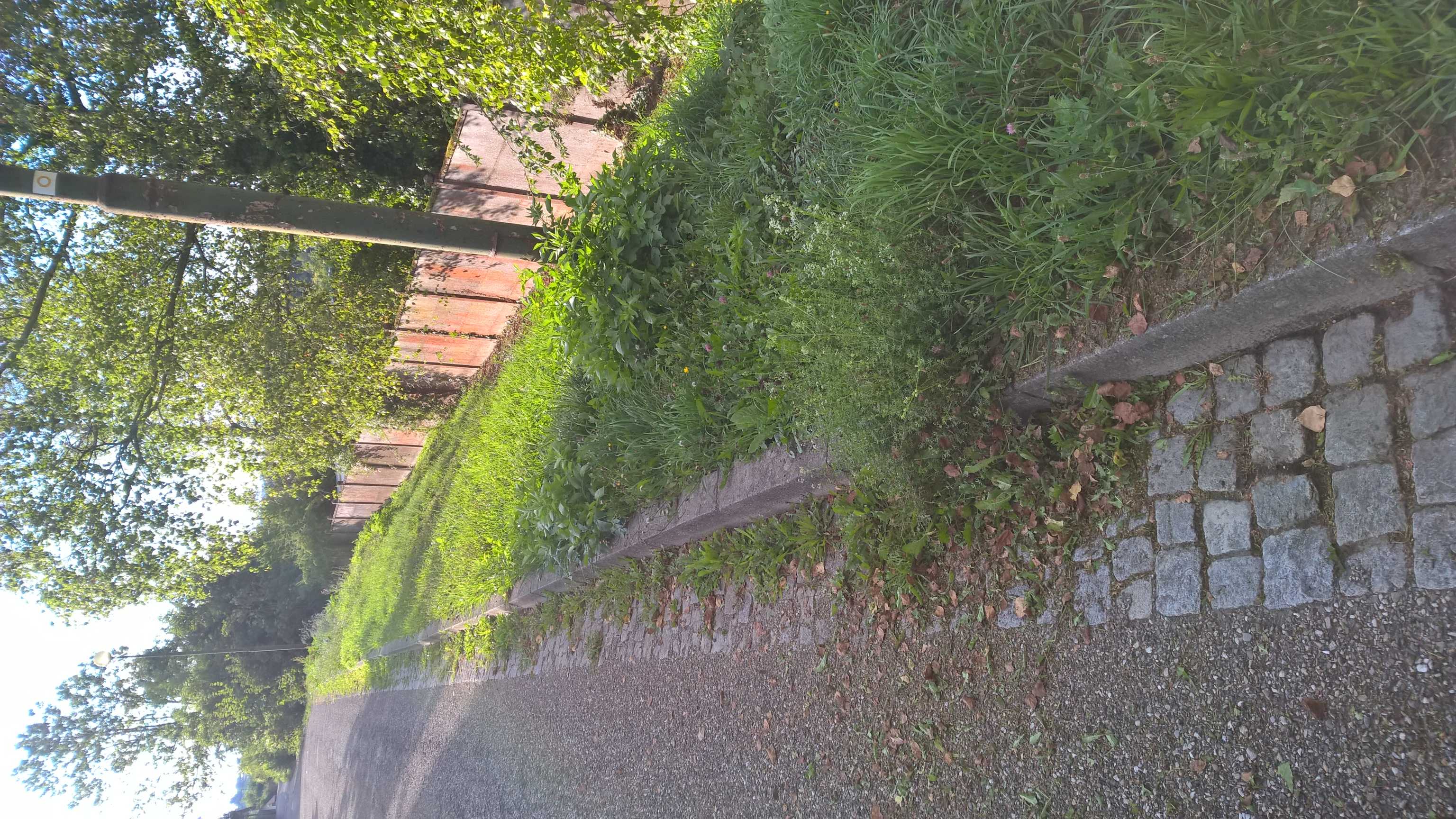 WP_20150904_08_44_12_Pro_optimized