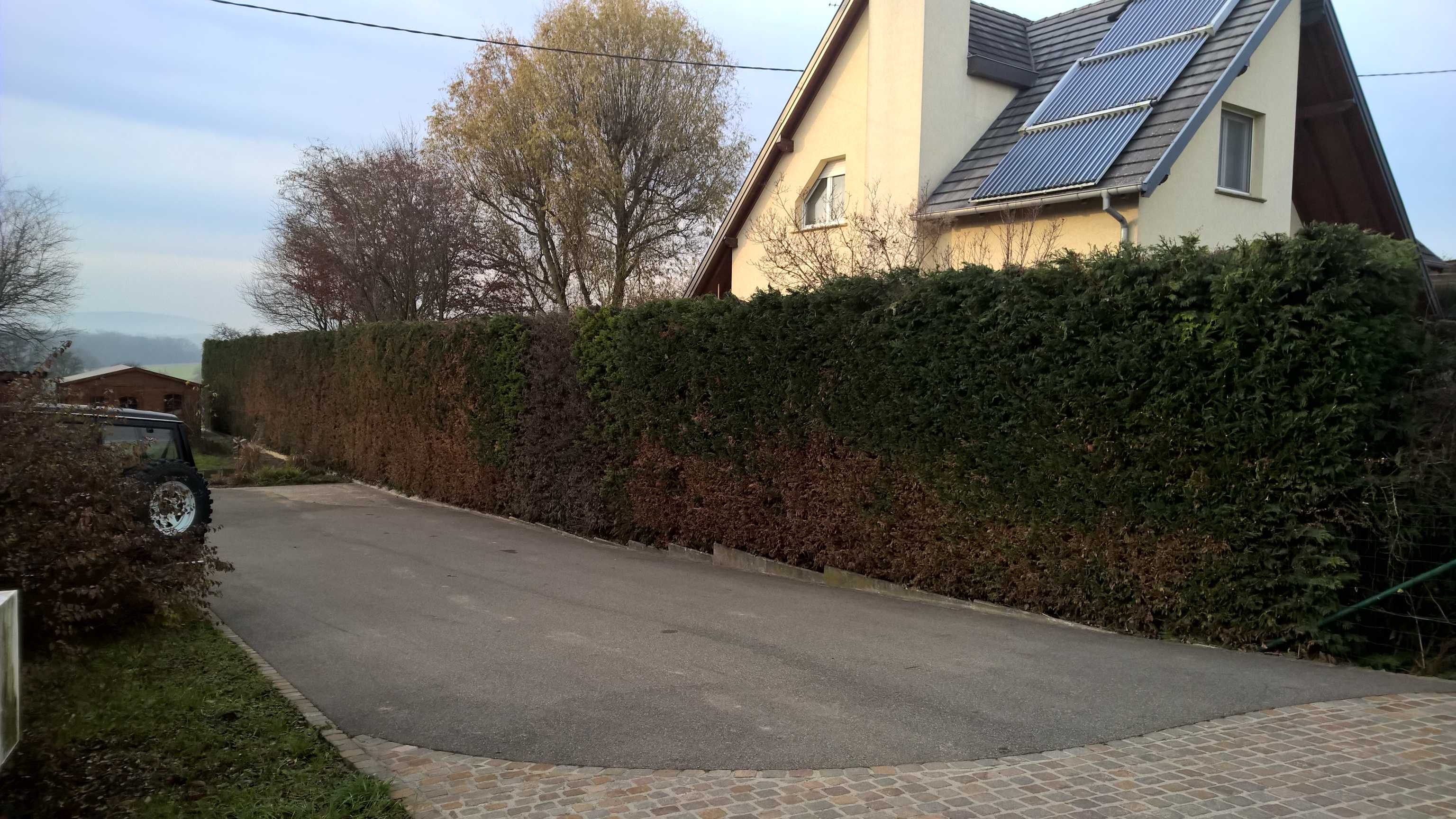 WP_20191206_14_56_30_Pro_optimized